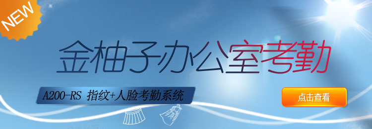 互聯網考勤系統A200辦公室系列