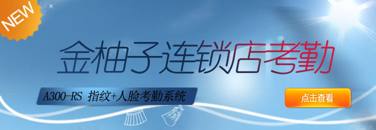 互聯網考勤系統A300連鎖店系列