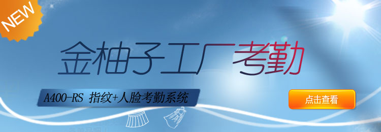 互聯網考勤系統A400工廠版
