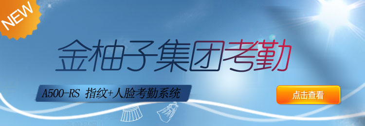 互聯(lián)網(wǎng)考勤系統(tǒng)A500集團版